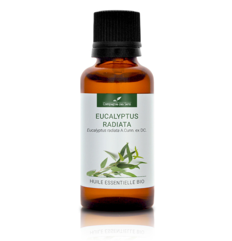 HES010106-3700998800596-eucalyptus-radiata-huile-essentielle-bio-10ml-CDS