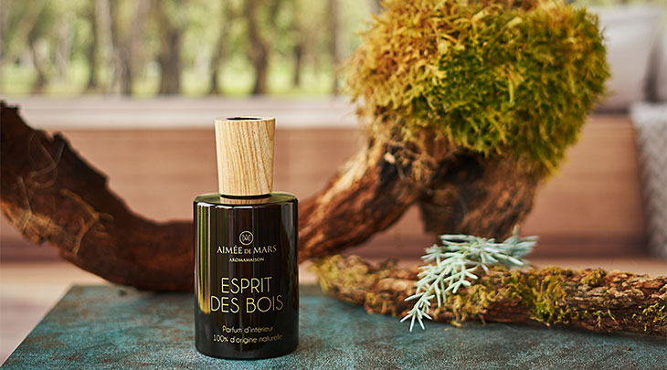 Parfum-intérieur-esprit-des-bois-ambiance